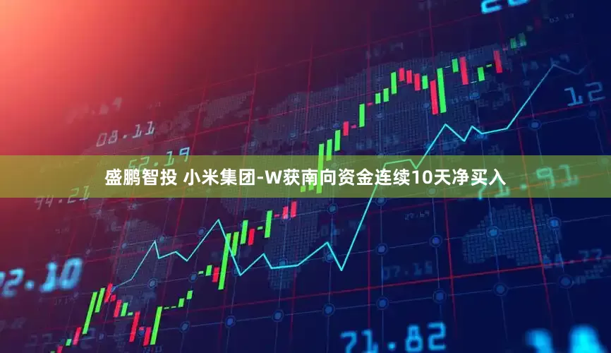盛鹏智投 小米集团-W获南向资金连续10天净买入